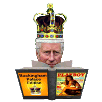 King Charles Reading Playboy Gif