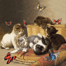 Kitten and Butterflies Interaction Gif, Free Gifs, 3D GIF