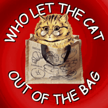 Let Cat Out Of Bag Who Told You Gif