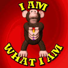 LGBT Monkey with Flag GIF