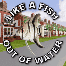 Like a Fish Out of Water, Uncomfortable, Free Gifs, 3D GIF