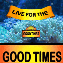 Live for the Good Times