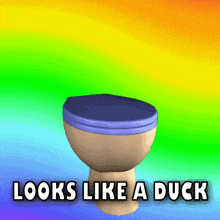 Looks Like a Duck Toilet Meme