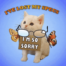 Lost My Specs Lost My Glasses GIF