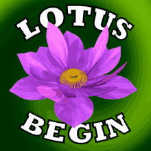 LOTUS BEGIN GIF, Free 3D GIF
