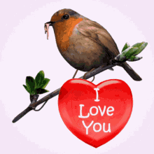 Love Birds and Hearts Gif