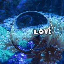 Love is in the air: A romantic journey through the ocean