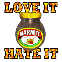 Love It or Hate It Luv It GIF