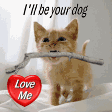 Love Me I Will Be Your Dog Gif