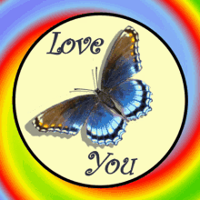 Love You Butterfly: A Symbol of Affection and Beauty