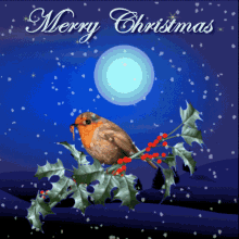 Merry Christmas Robin Gif, Christmas Wreath Gif, 3D GIF