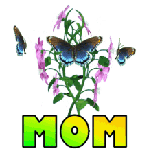 Mom Mommy Gif, Butterfly Gif, Flower Gif