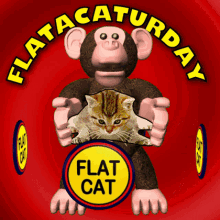 Monkey and Cat Rotating in an Amusing Way GIF