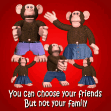 Monkey Family Monkey Troop GIF
