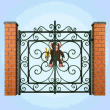Monkey gif