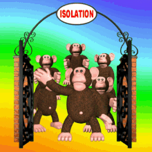 Monkey Isolation Isolation Gif, Free Gifs, 3D GIF