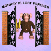 Monkey Lost Forever GIF