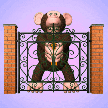 Monkey Trapped by Fence GIF
