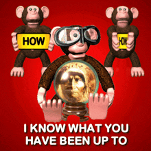 Monkey with a magnifying glass looking at you, with the caption HOW I KNOW WHAT YOU HAVE BEEN UP TO
