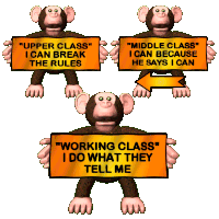 Monkeys Upper Class GIF, Free Gifs, 3D GIF