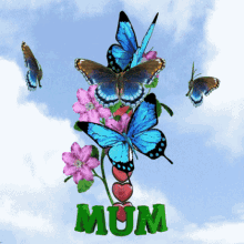 Mum Mom Gif, Free Gifs, 3D GIF