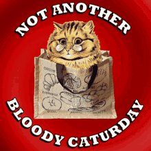 Not Another Bloody Cat Thursday - Hilarious 3D Animation GIF