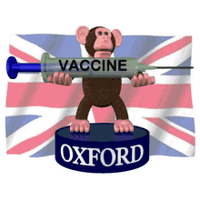 Oxford Vaccine Oxford Covid19Vaccine Gif