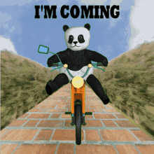 Panda Riding a Bicycle on a Brick Road GIF