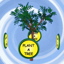 Plant a Tree - Environmental Conservation Initiative