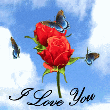 Red Rose and Butterfly Romantic Dance