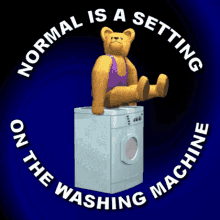 Sad Bear on Washing Machine, Free Gifs, 3D GIF