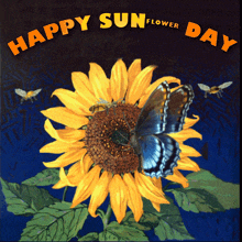 Sunflower's happy day