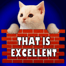 That Is Excellent Cat Meme - The Meme Gif, 3D Gif