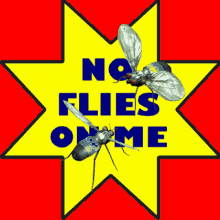 Two flies on a yellow star