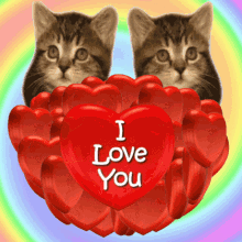 Two kittens hugging a heart emoji: A cute way to express love