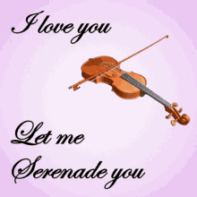 Violin, Love, Confession GIF
