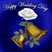 Wedding Day Greetings with a 3D Animation of a Rose and Bells