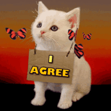 White Cat with I AGREE Sign and Butterflies Gif